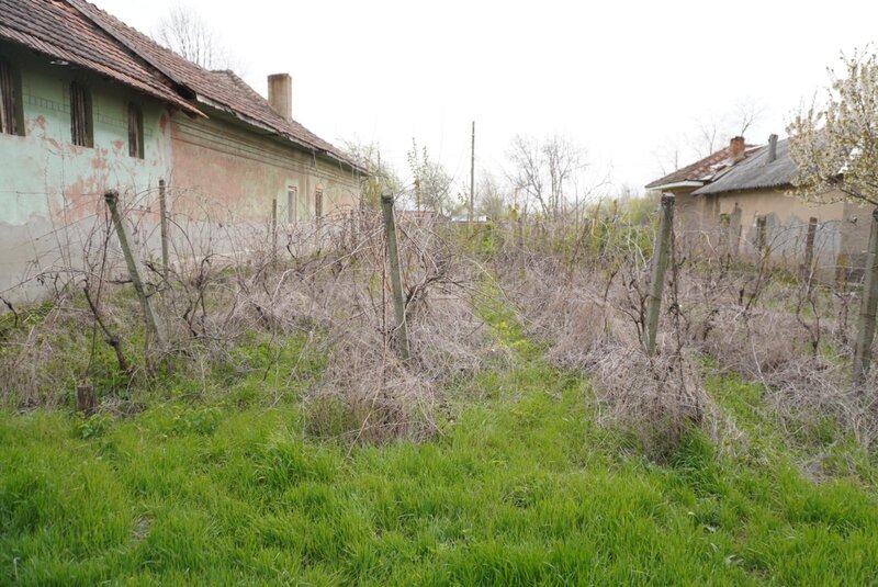 Amarastii de Sus, sat Zvorsca,
